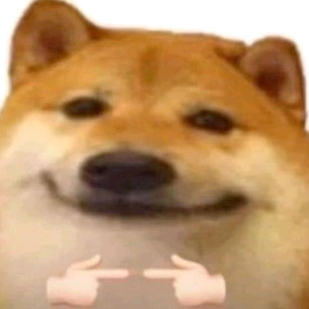 肉弹葱鸡