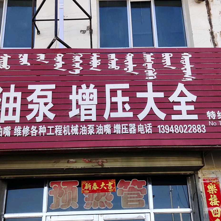 额济纳旗南阳小崔校油泵