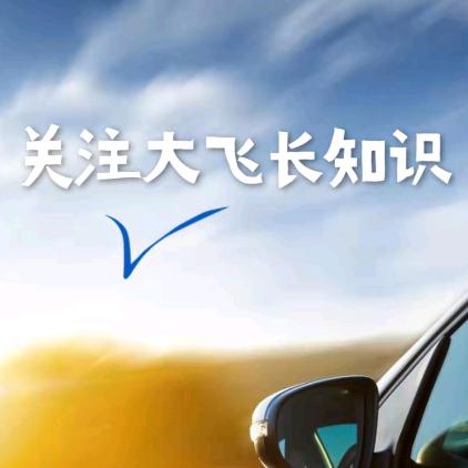 做二手车按揭的大飞