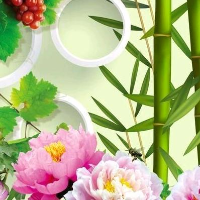 抖音是娱乐🌹🌹🌹