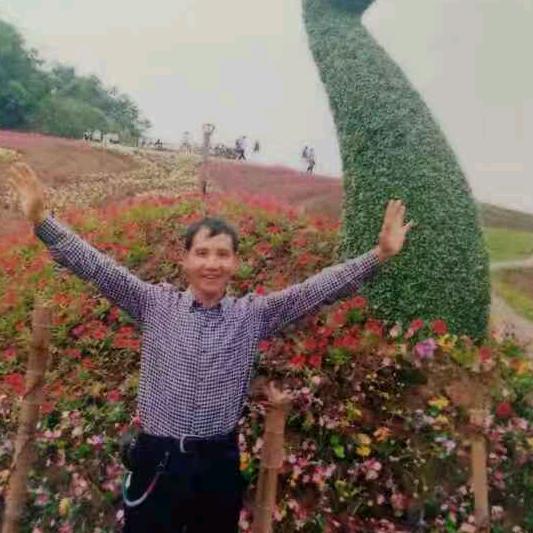 开心健康每一天