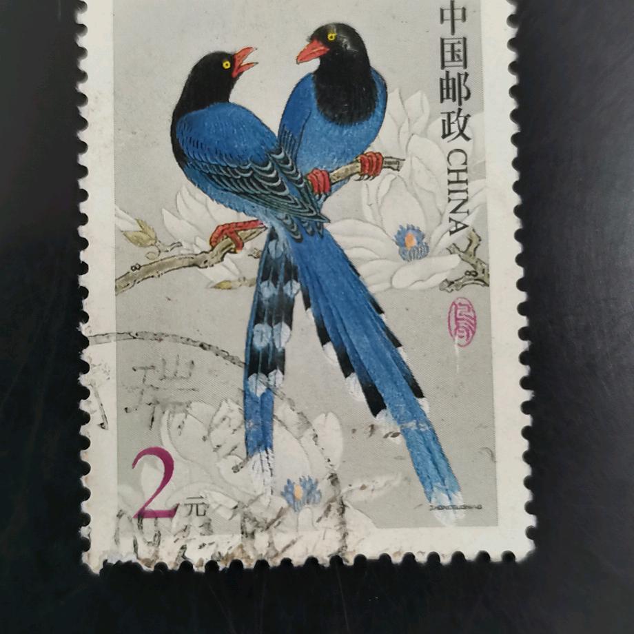 引爆黑蛋