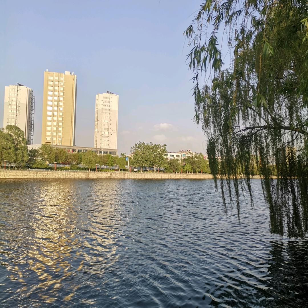 马兰