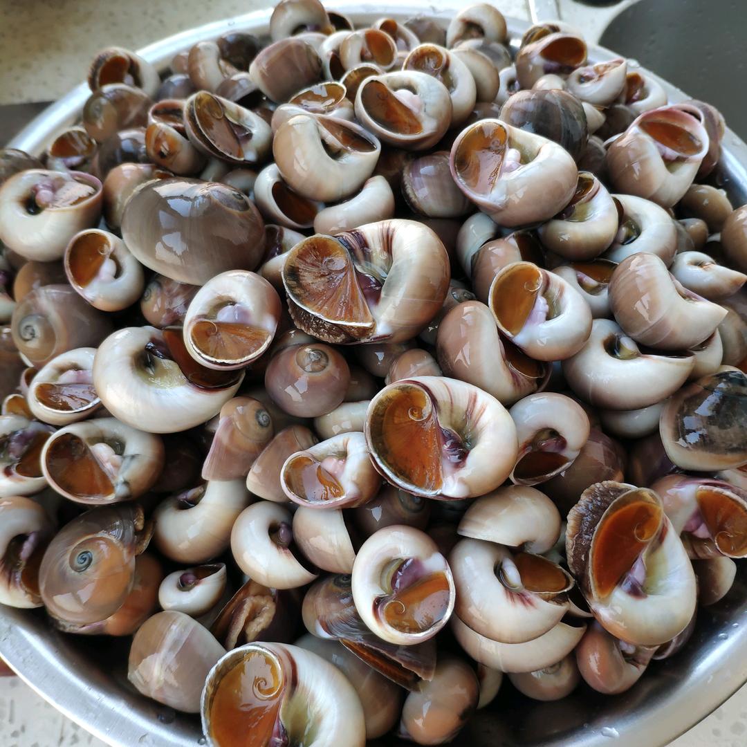 草🌿🌿🌿🌿🌿🌿🌿🌿🌿?