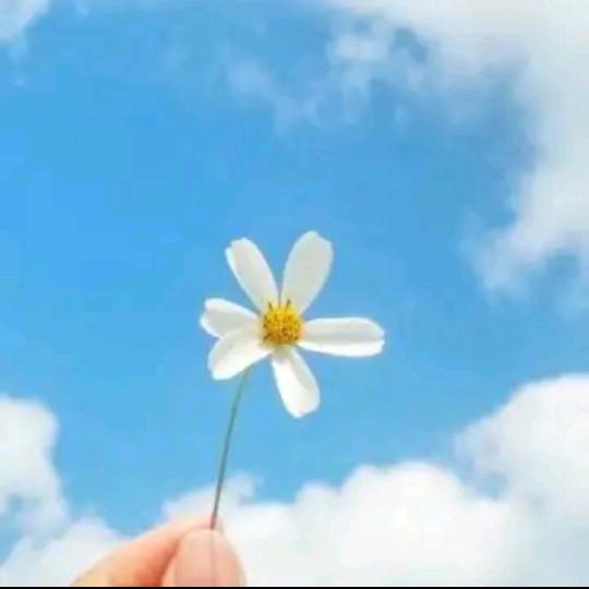 流年独殇