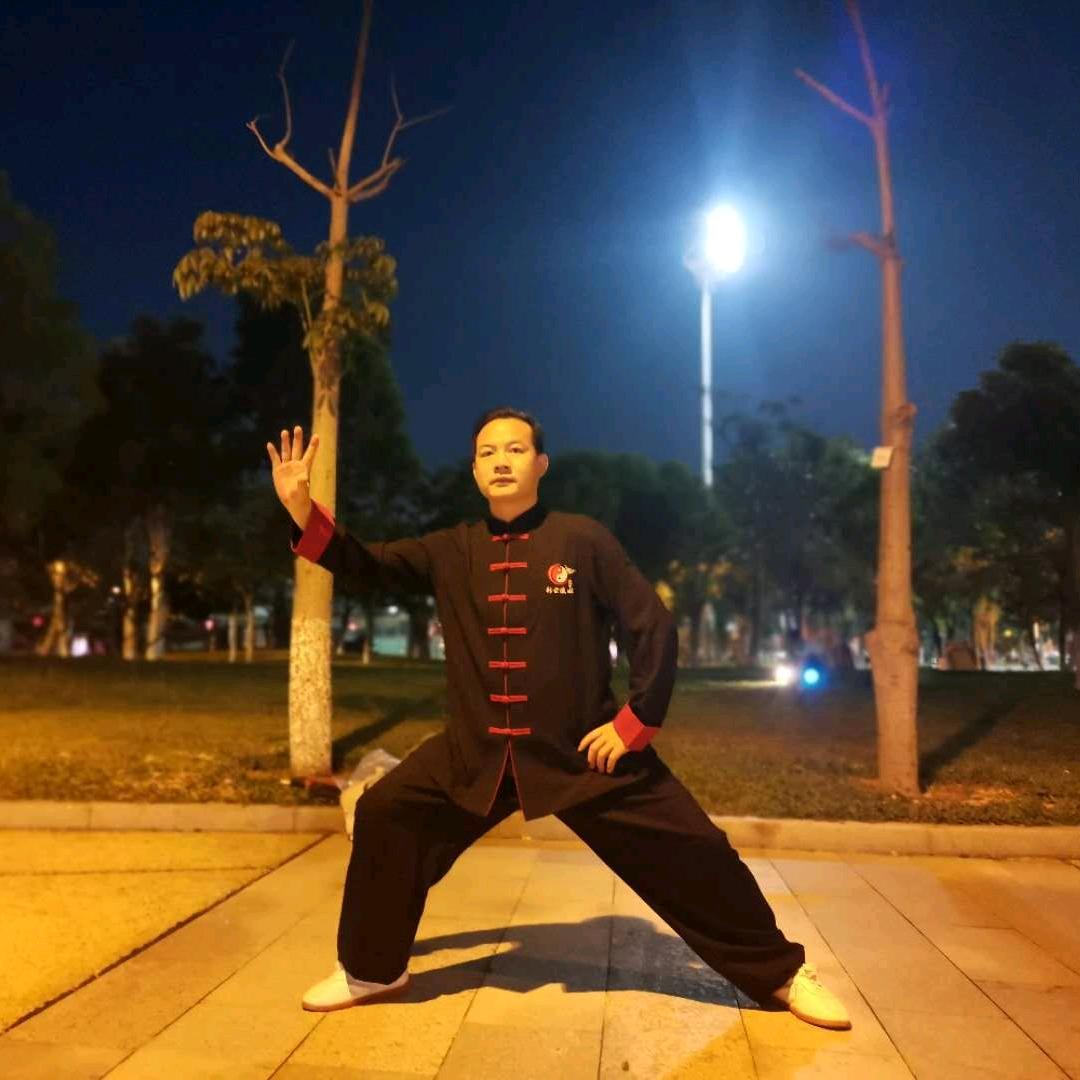 武术学者海林