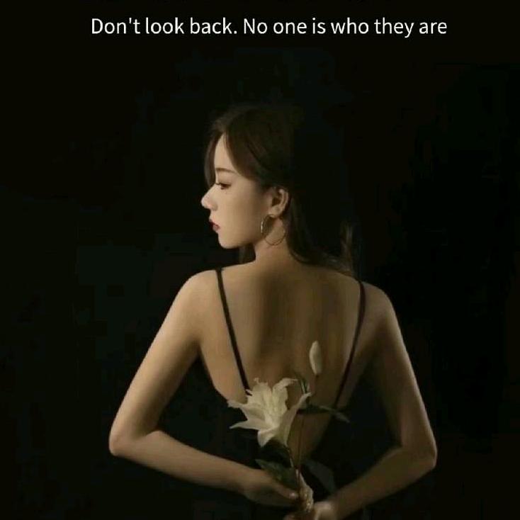 一草一木终是结