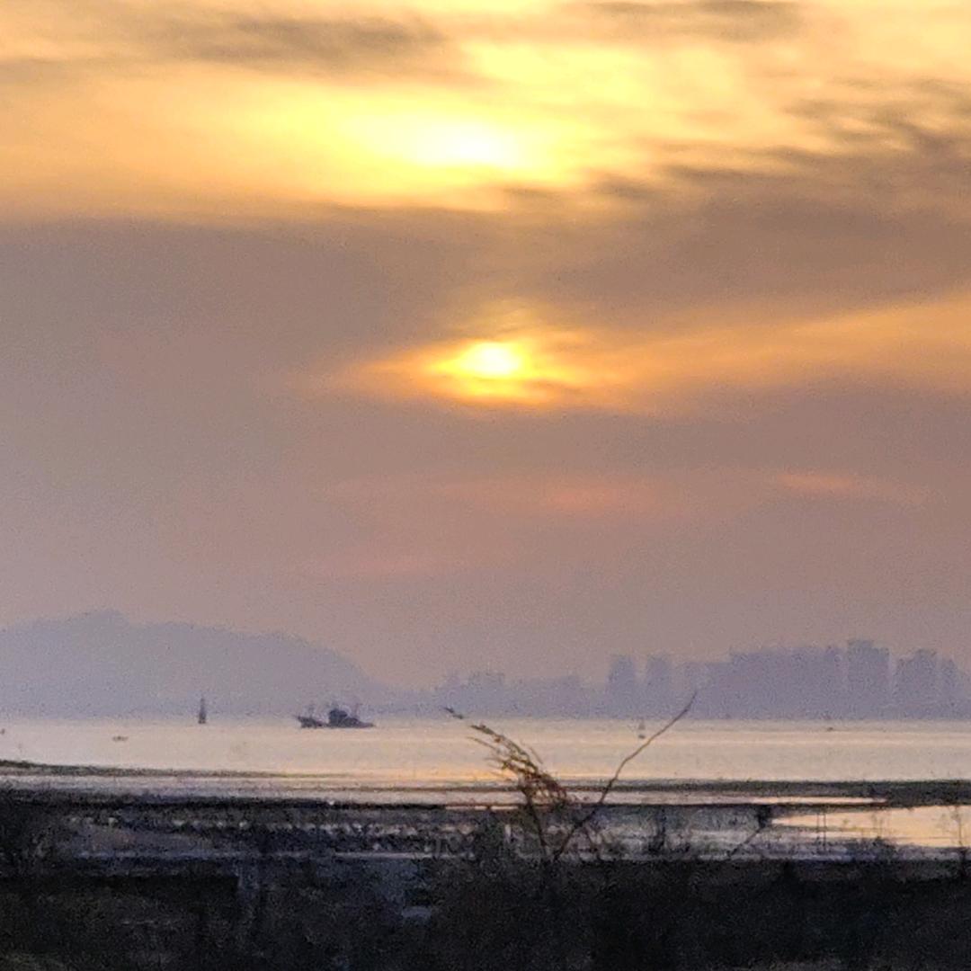 差不多的   王先生&