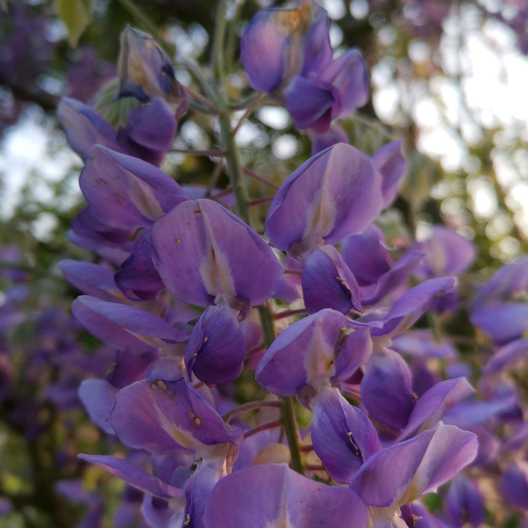 从头再来🧚‍♀️