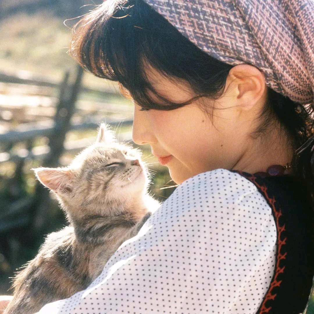 不吃鱼的猫儿