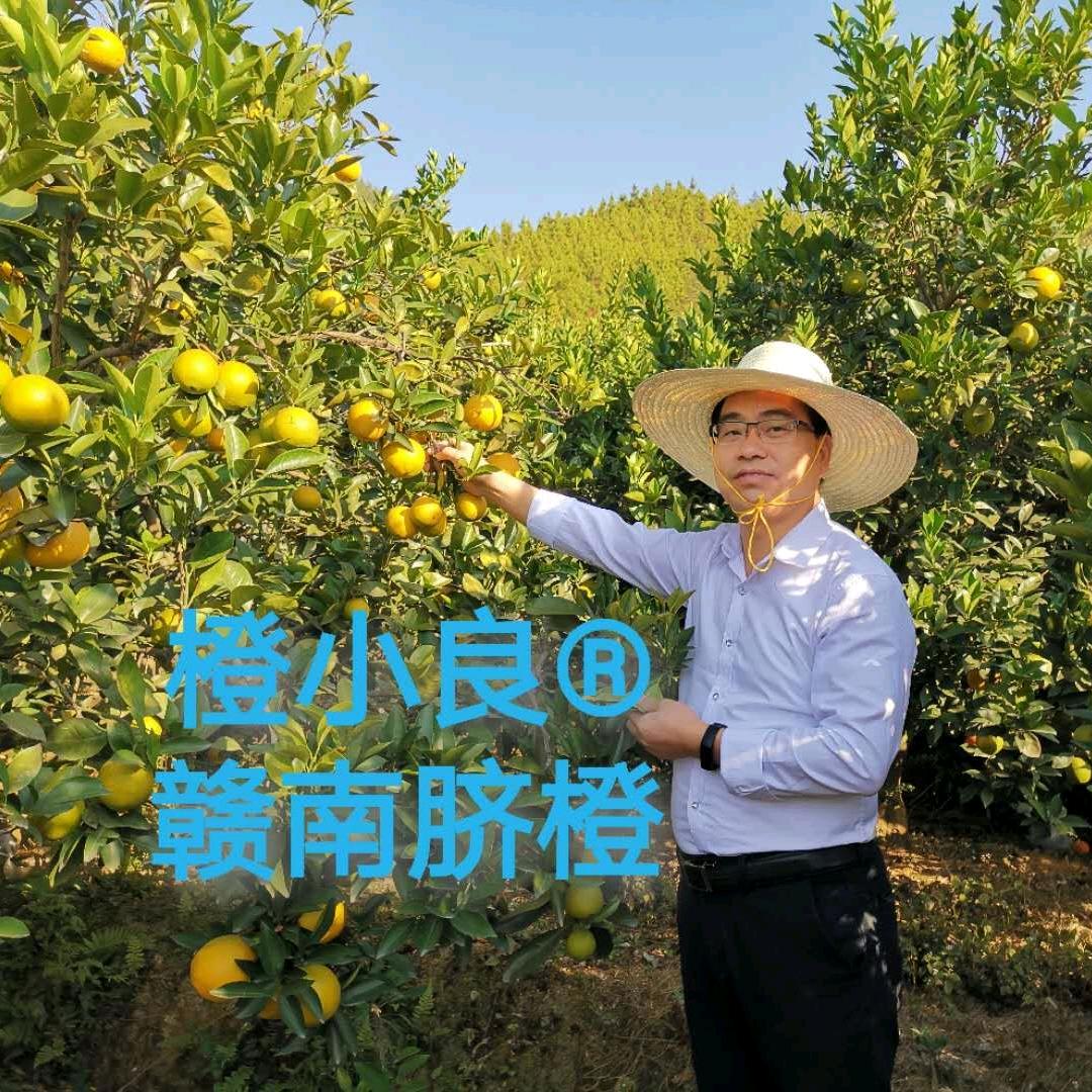 肖壮和||橙小良||赣南脐橙