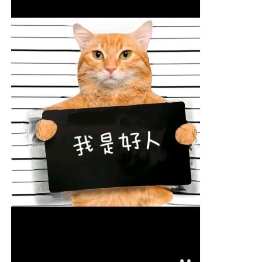 你的小可爱上线了