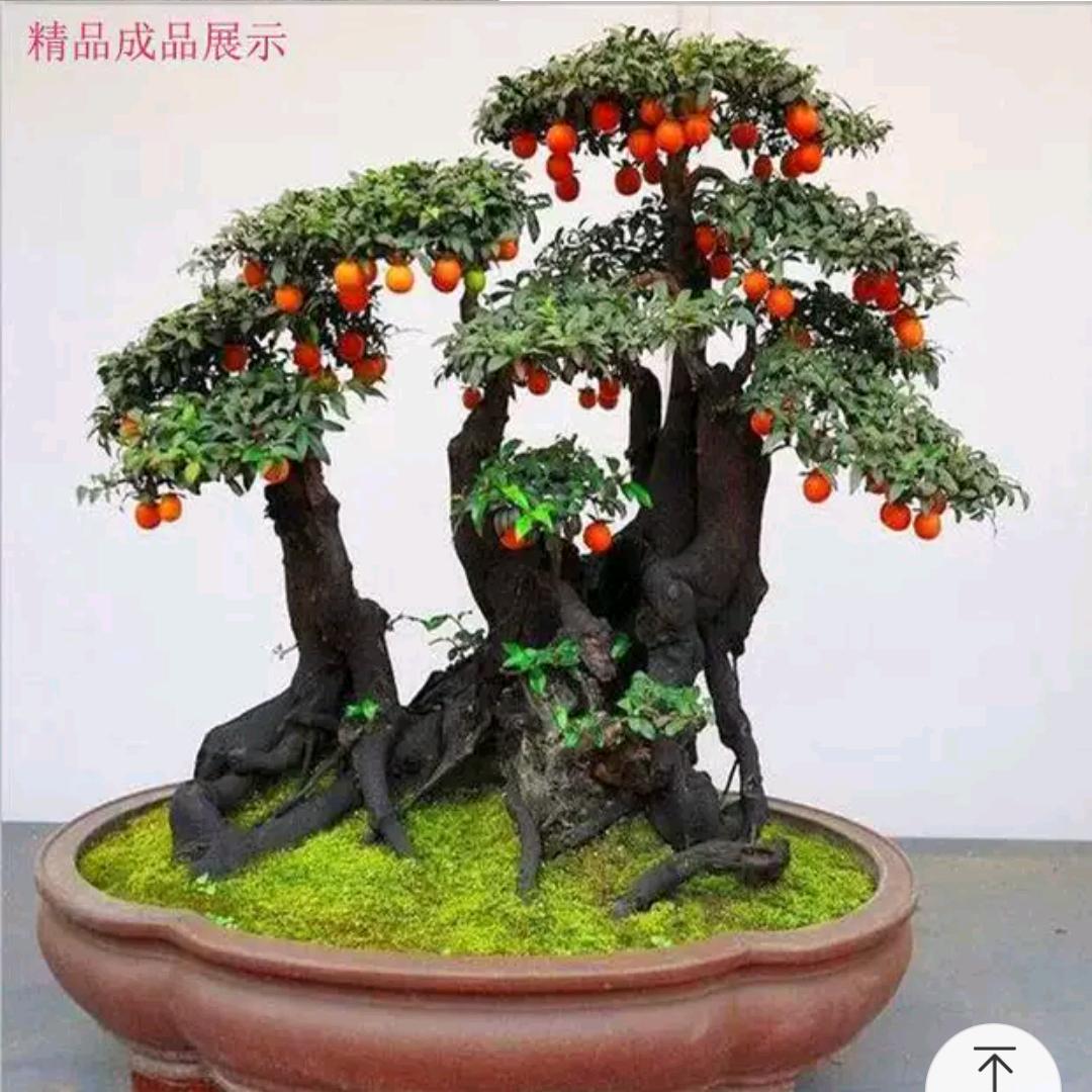 一生守护
