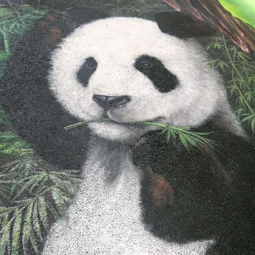 小小宇