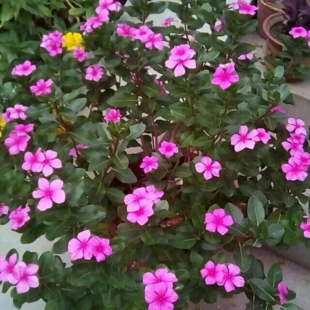用户5494634195693高