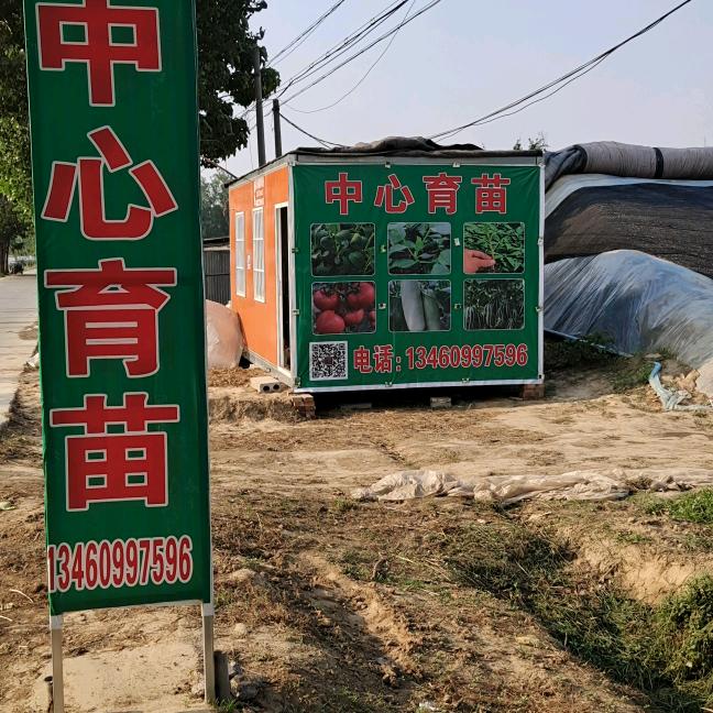 种苗培育小三哥