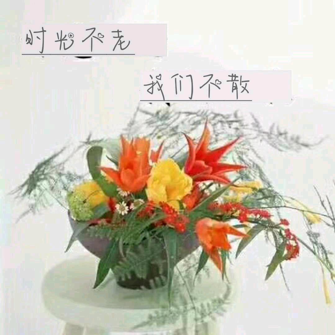 竹风雅茗