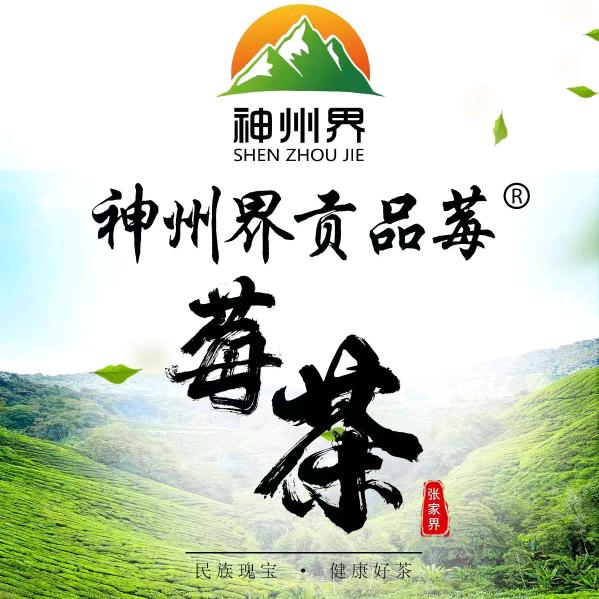 神州界高山有机莓茶