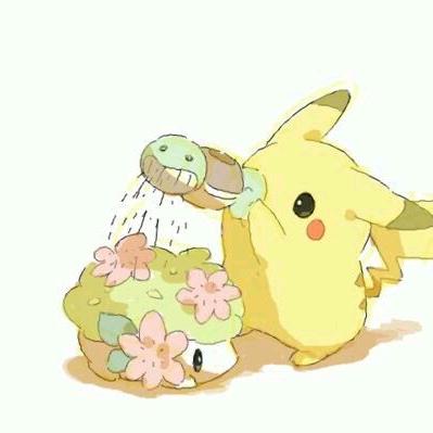 皮卡丘🥳