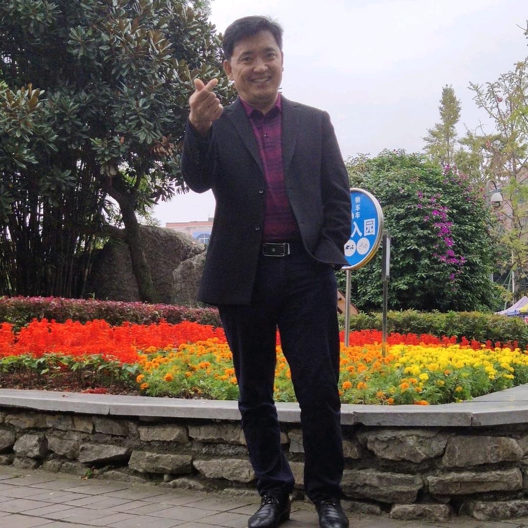 轻风拂柳