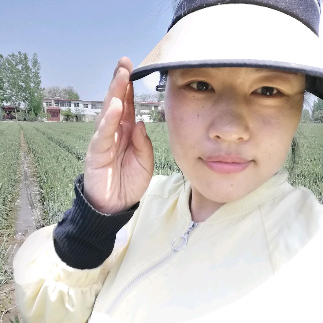 张老师讲农业