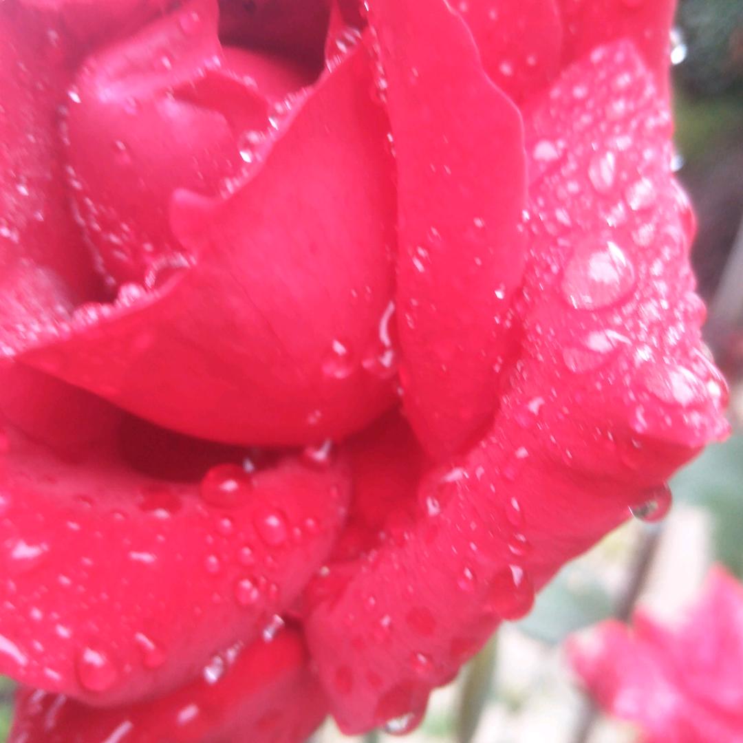 陕西哥关注了你