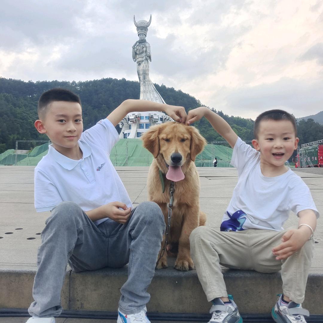 南哨高丽娜