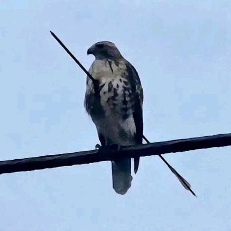 兵哥大锅卤菜