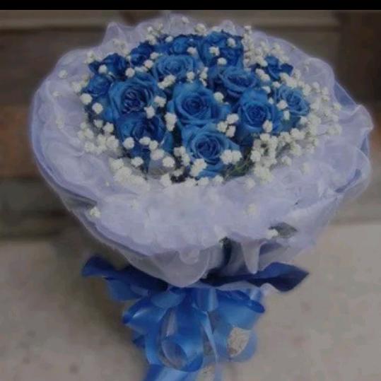 蓝蓝遇到郝怼怼