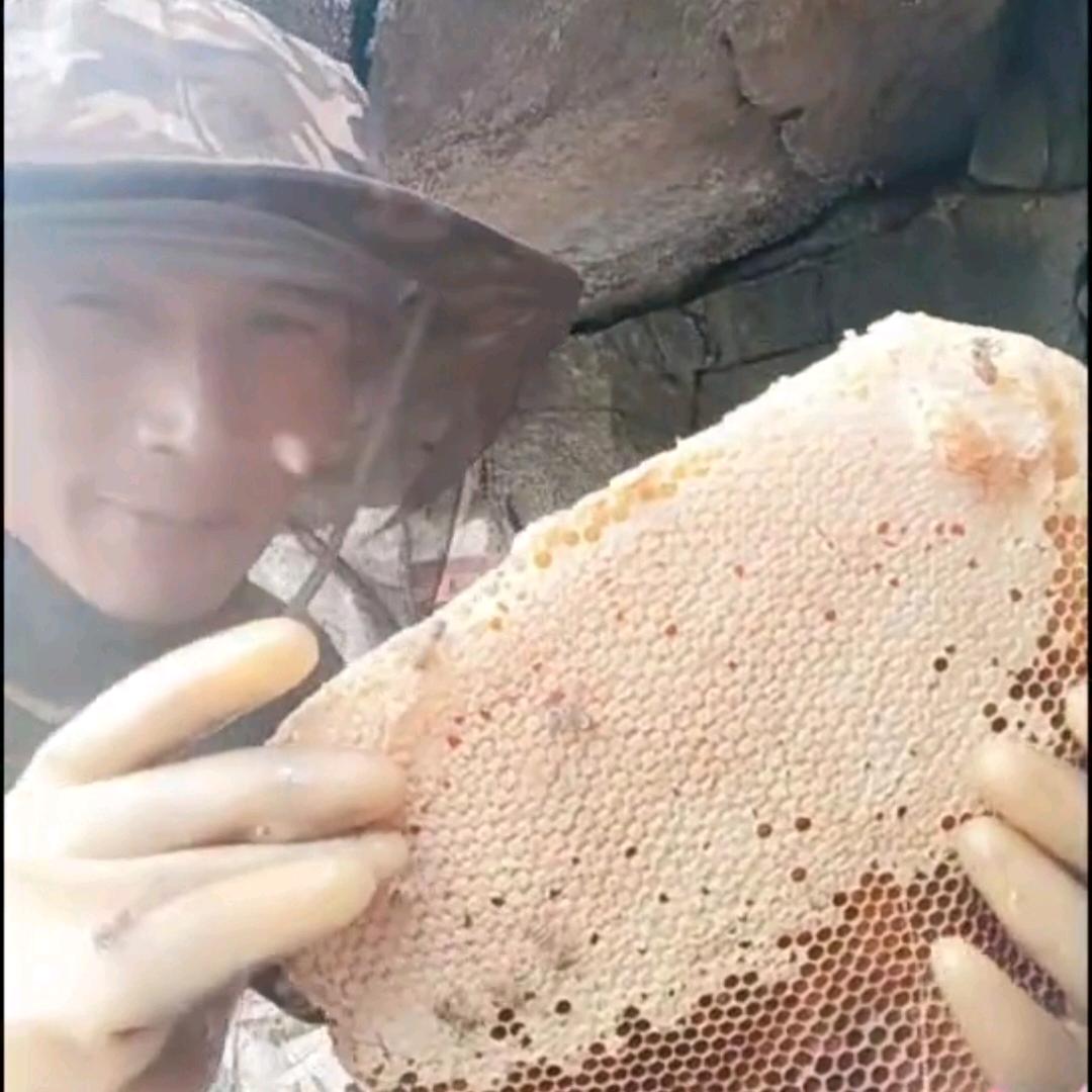 桂林蜂哥