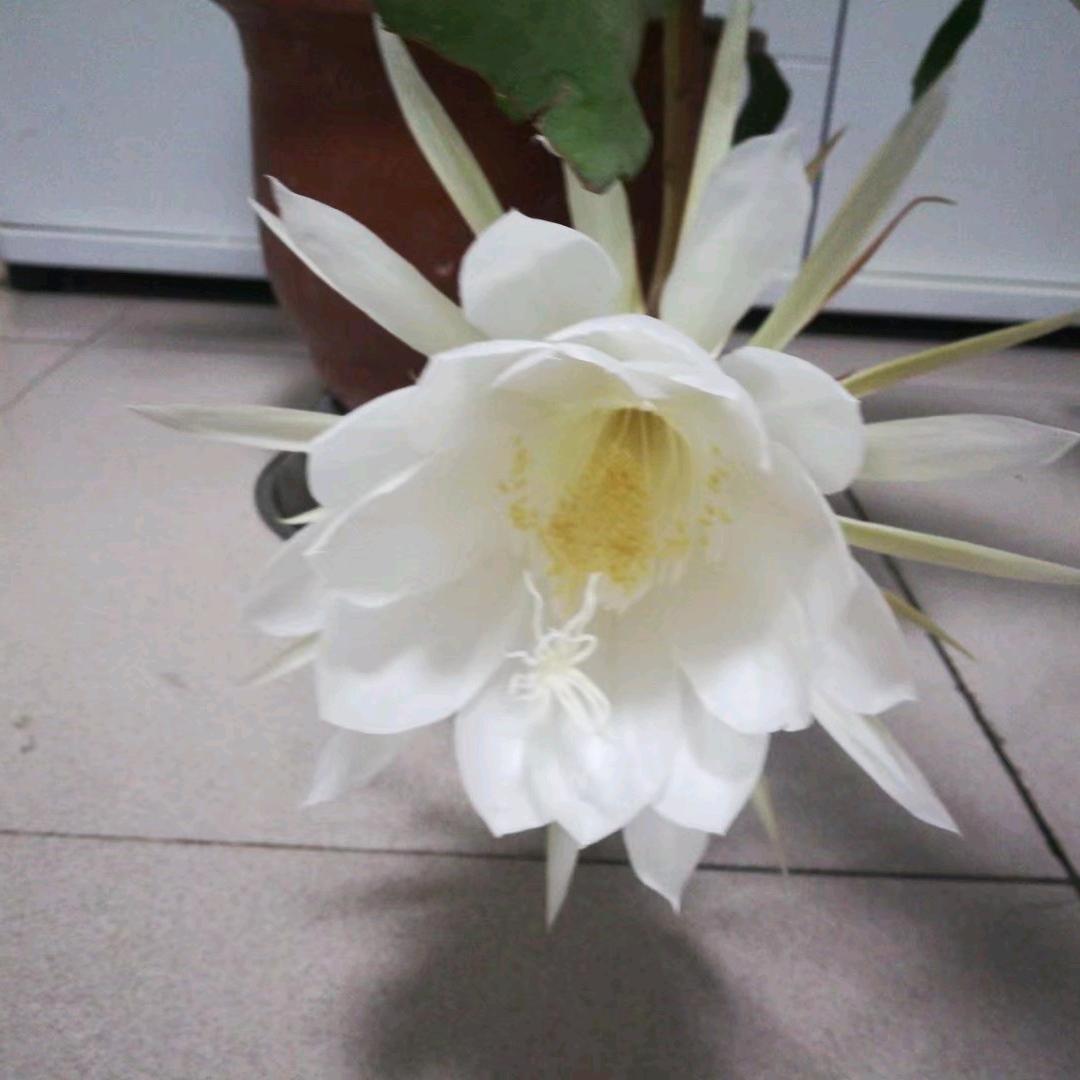 @8一叶知秋