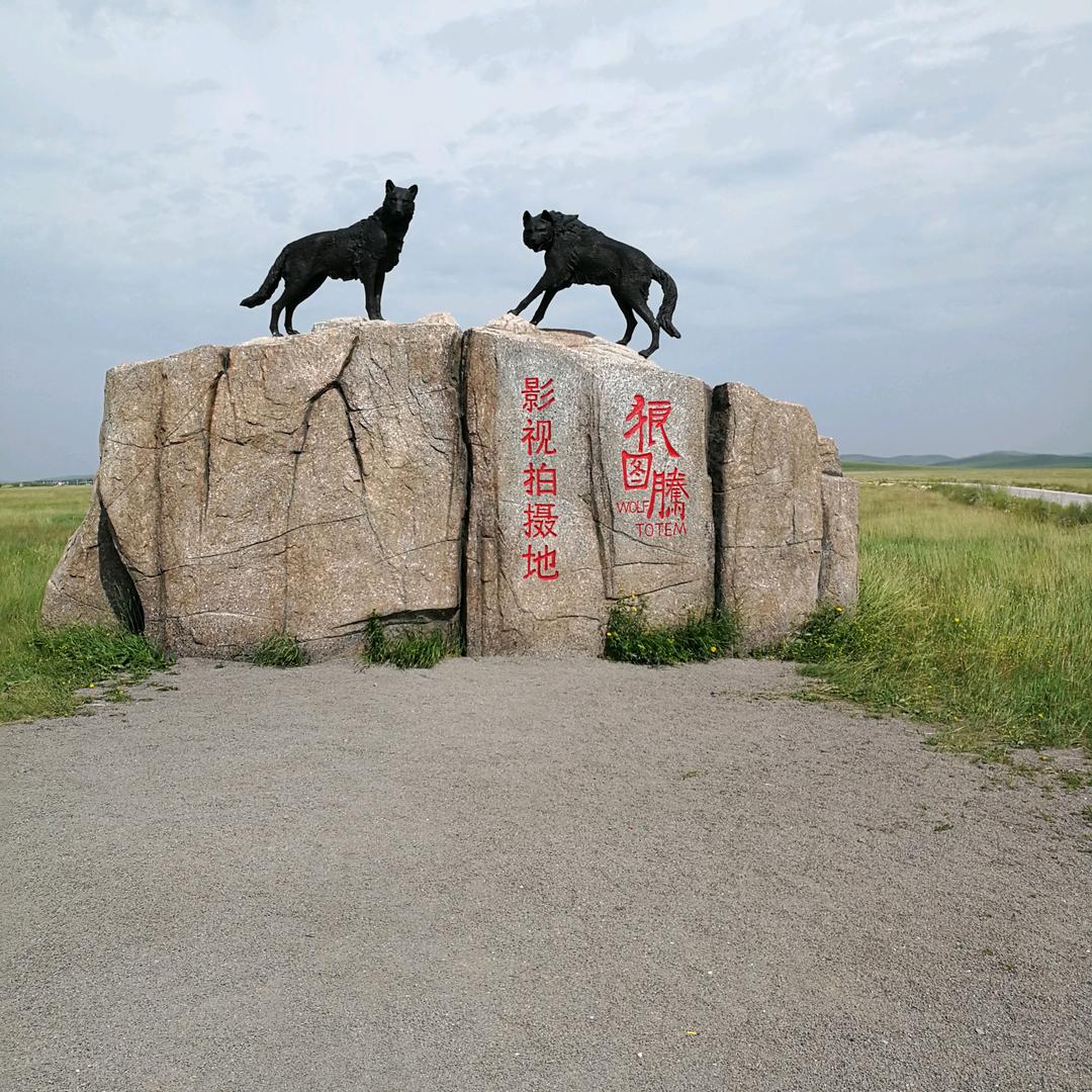 🐺行天下