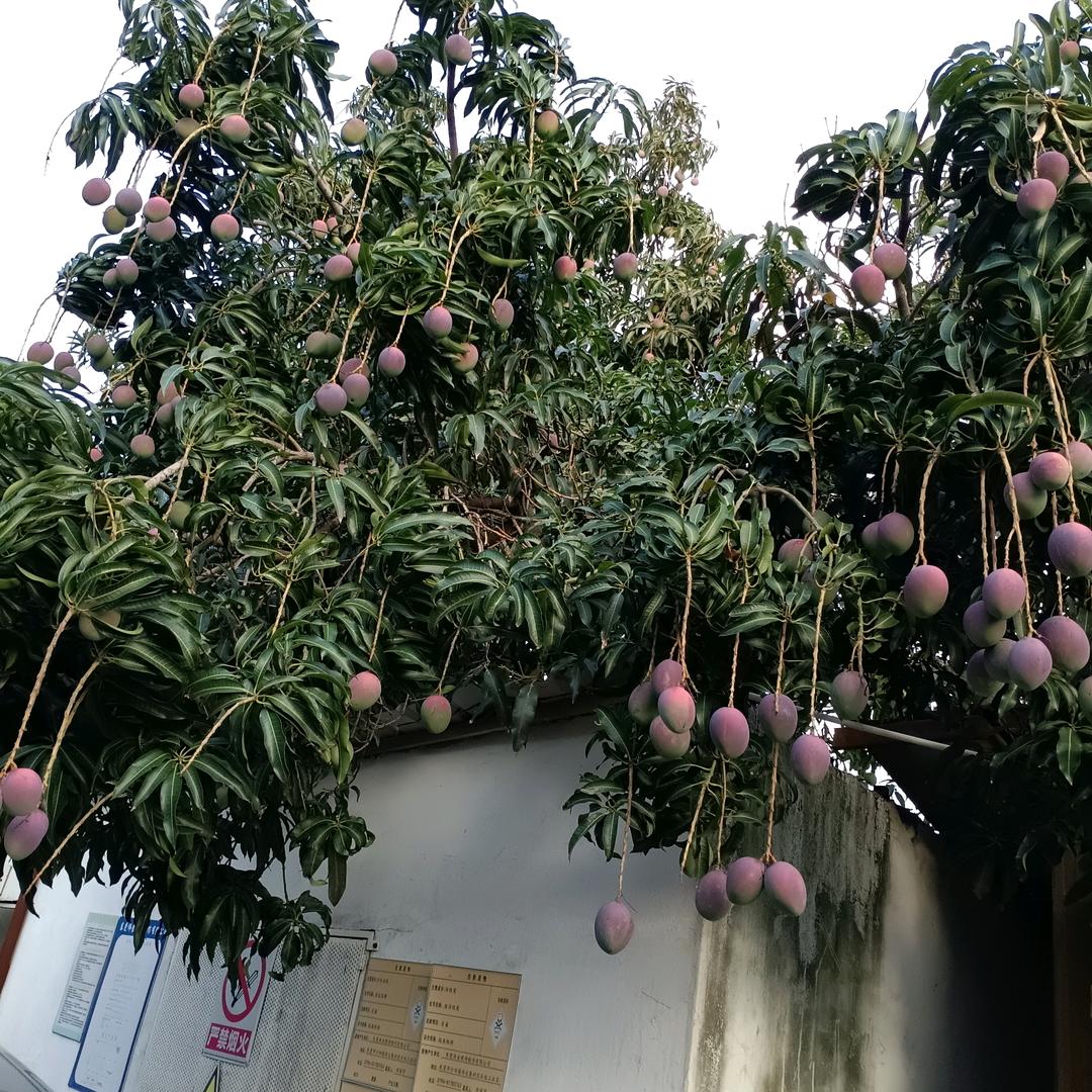 单身开心的女人