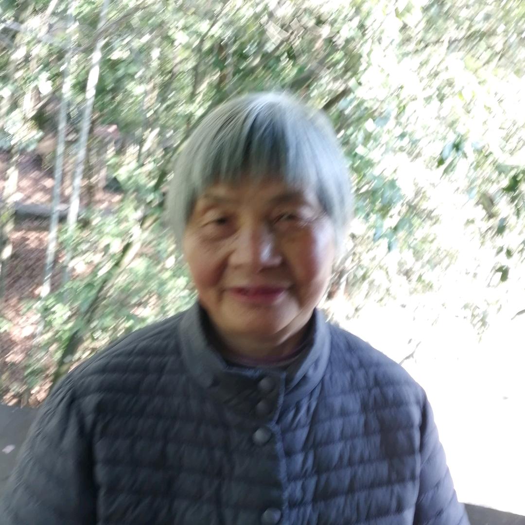 天心宗宝