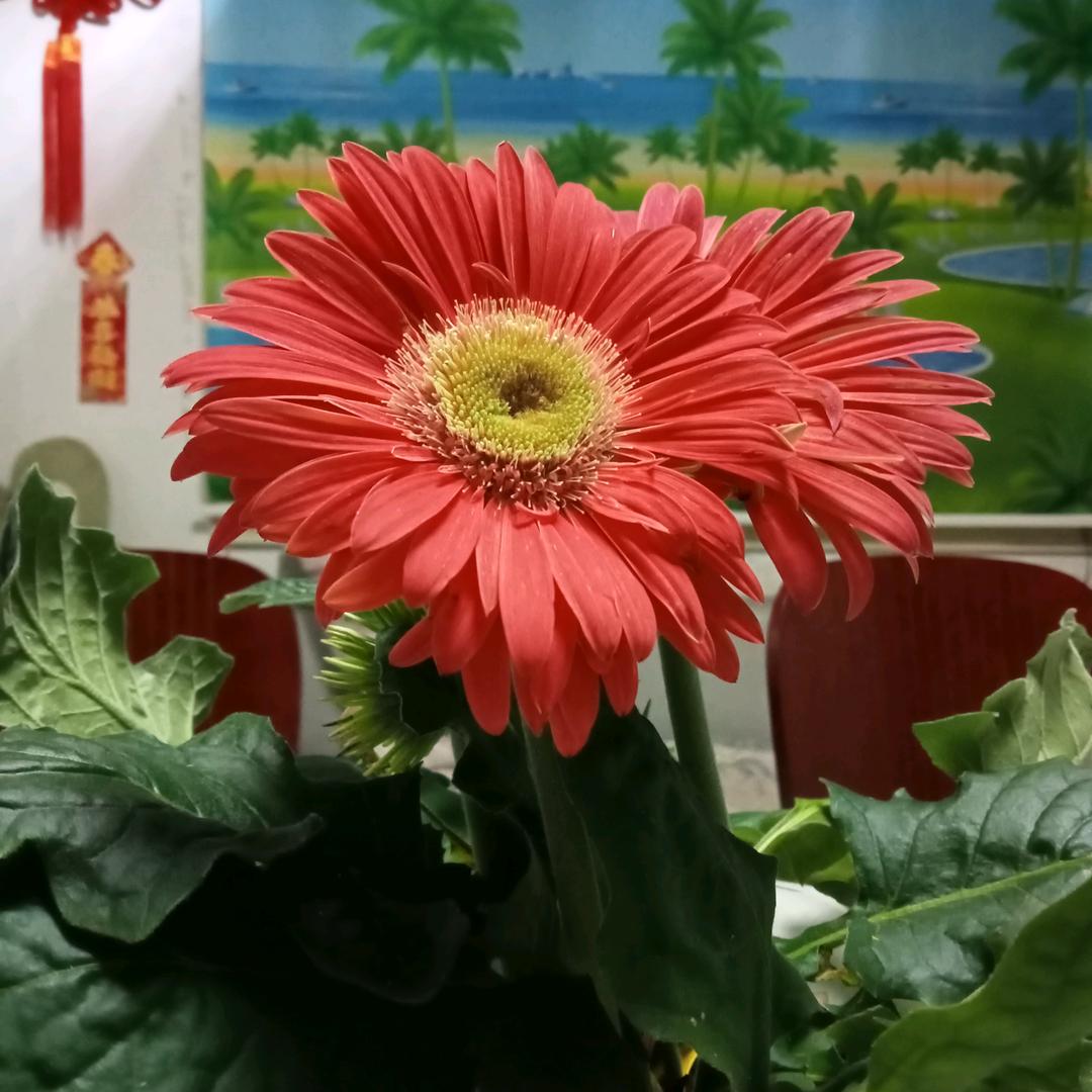 明天更好