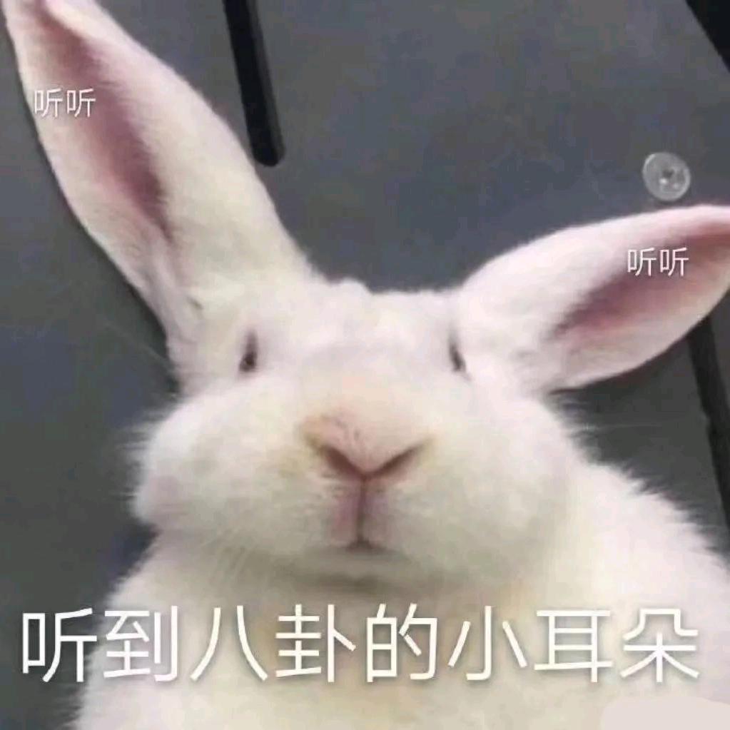 哇秃司瑞