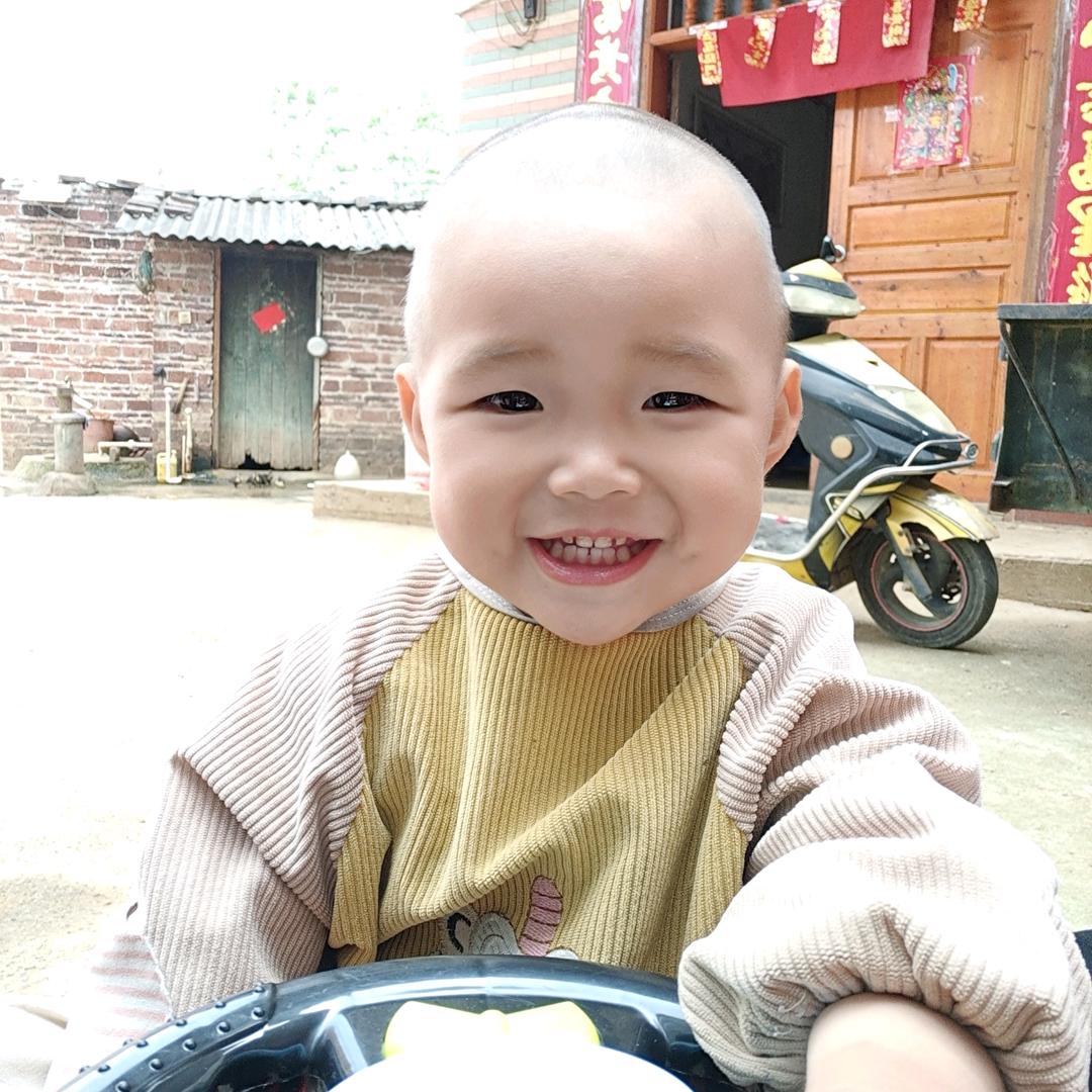 豆芽很乖
