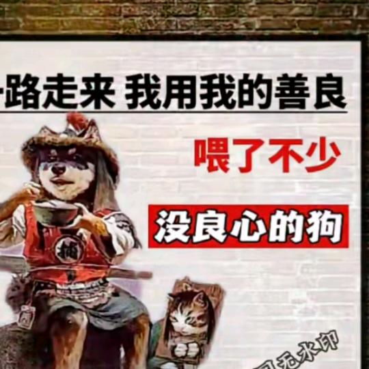 人间正道是沧桑呀