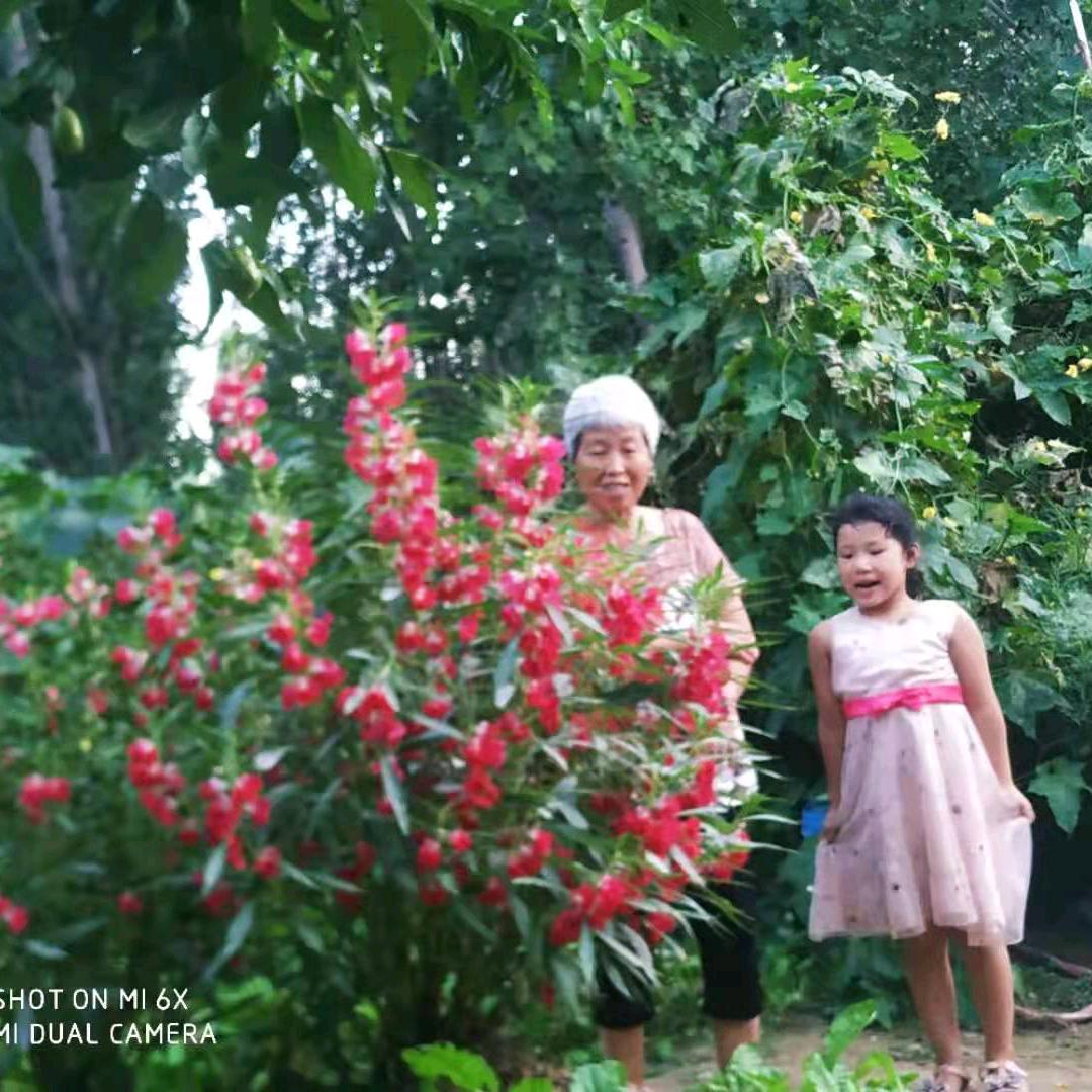 🌹知足常乐🌸