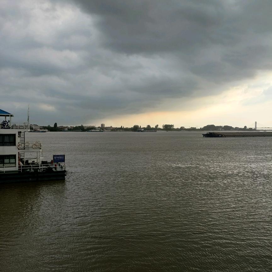 才毛双全77老蛇