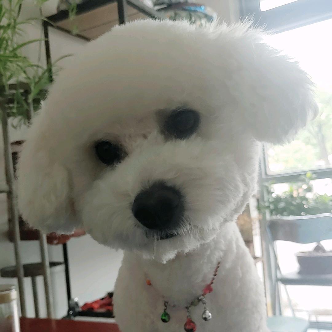 🇻🇳硬汉也柔情🇨🇳