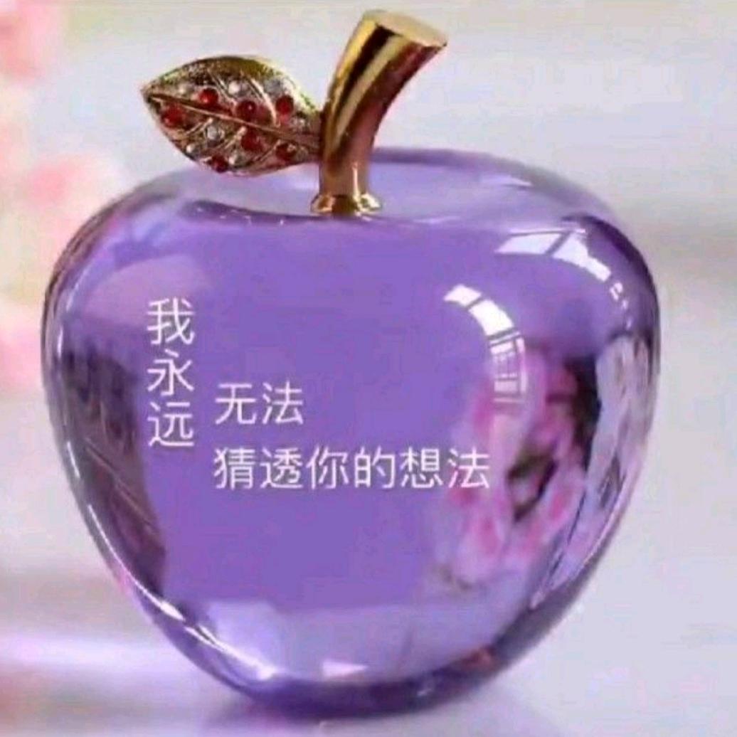 梦想未来