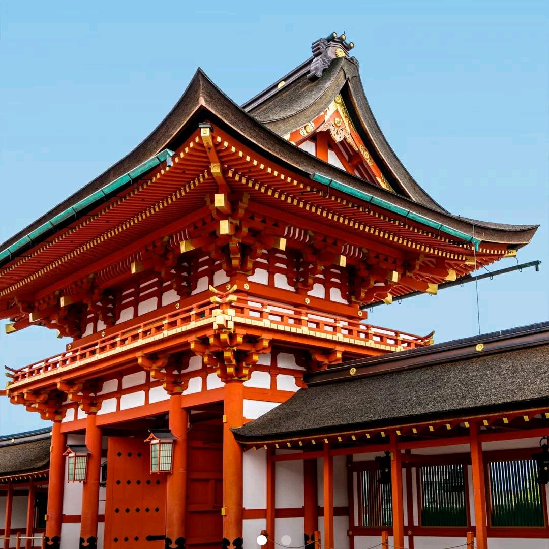 悲催