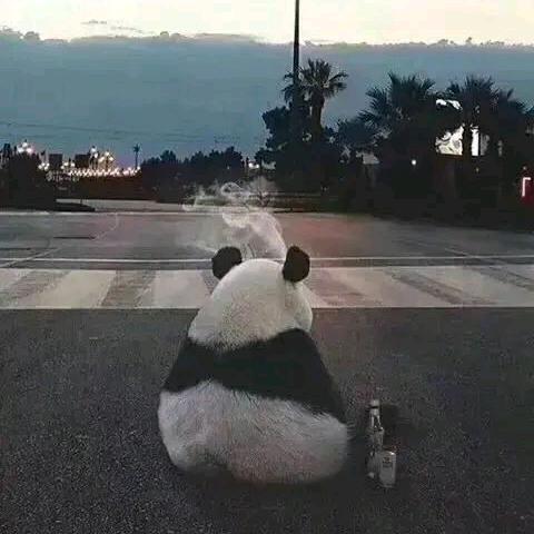 慢生活·