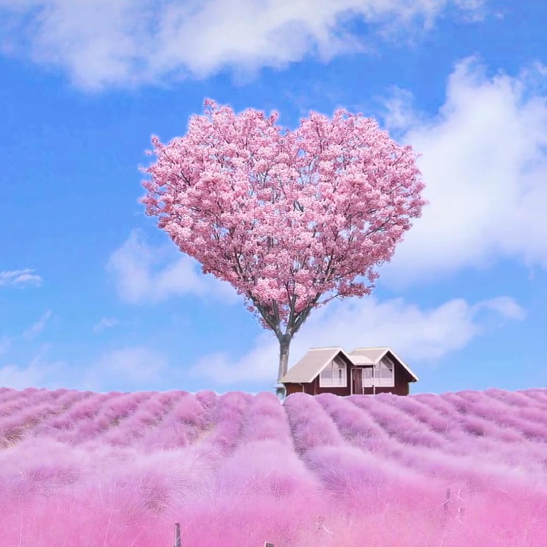 雨后彩虹^O^