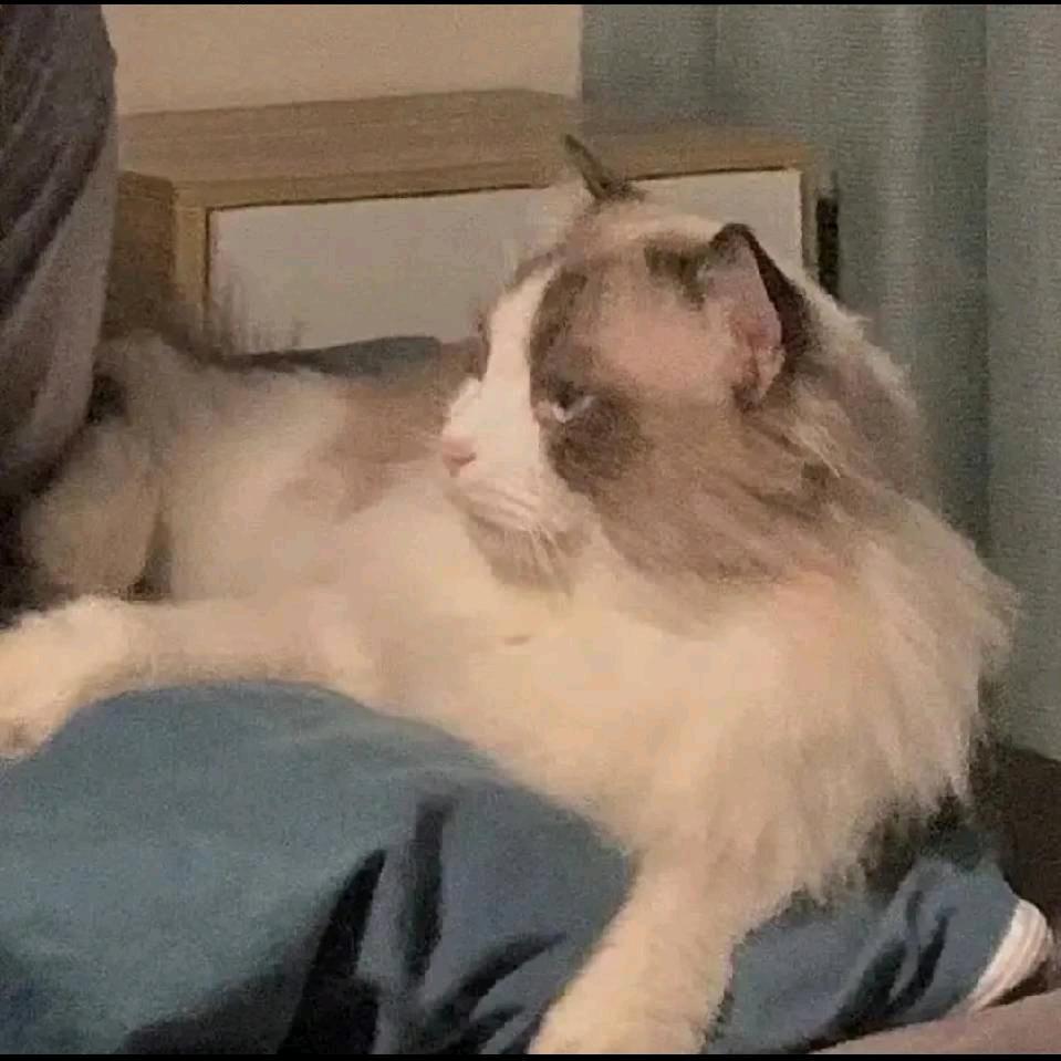 超级无敌帅气的暗影骑士