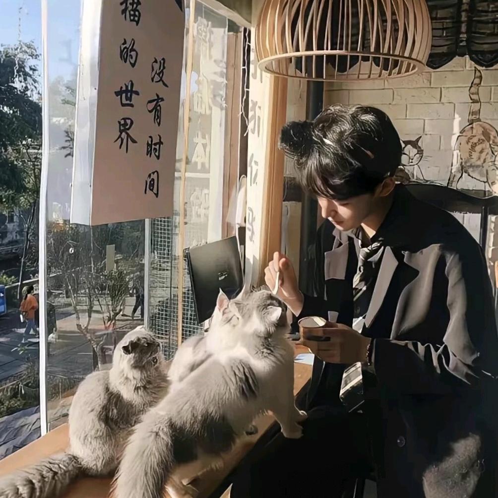 两封信🕊️