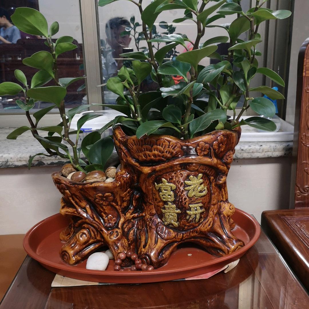 小伙仔