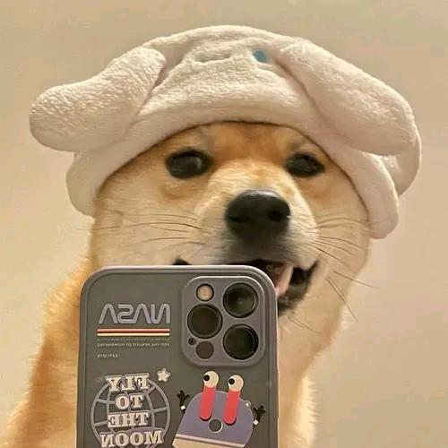集结季