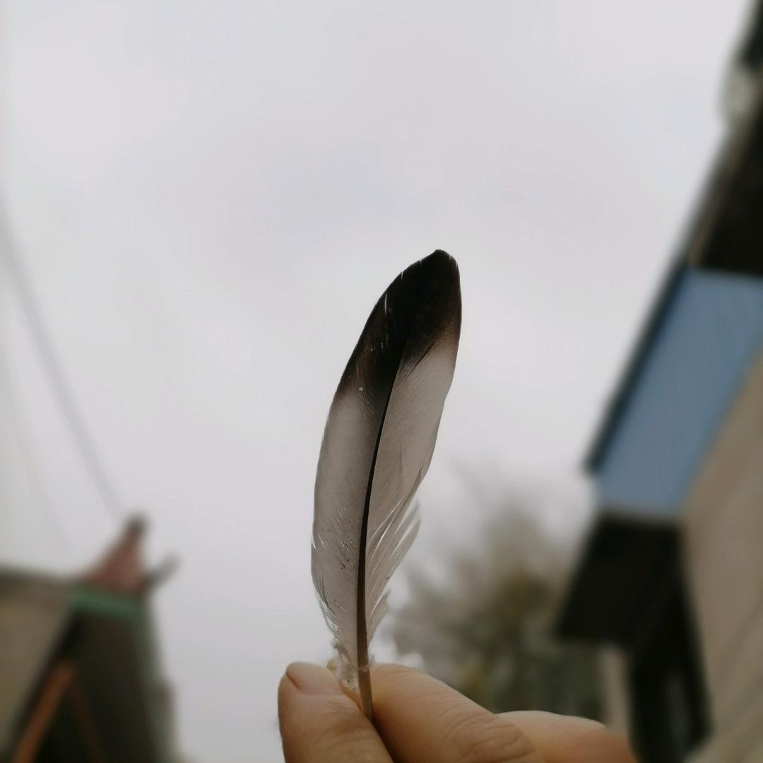 共享烘焙工作室